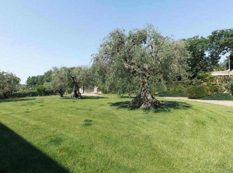 Villa Civitanova Marche Italy Luxury
