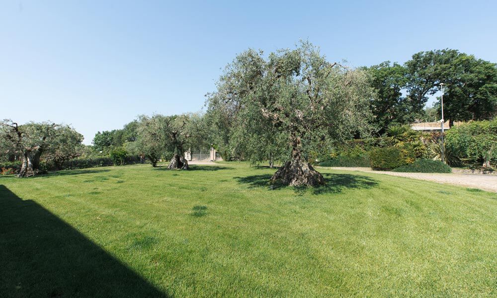 Villa Civitanova Marche Italy Luxury