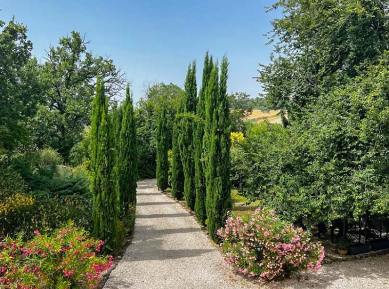 Boutique Hotel Fratte Rosa Fano Marche Italy