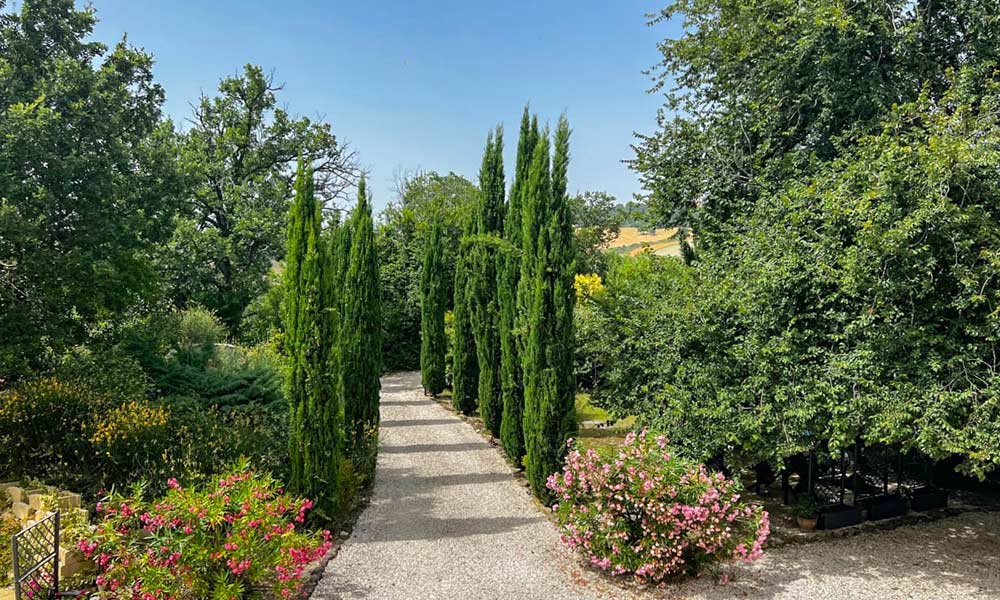 Boutique Hotel Fratte Rosa Fano Marche Italy