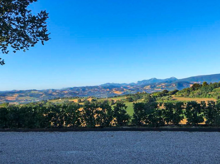 Villa Cartoceto Pesaro Marche Italy Pool Luxury