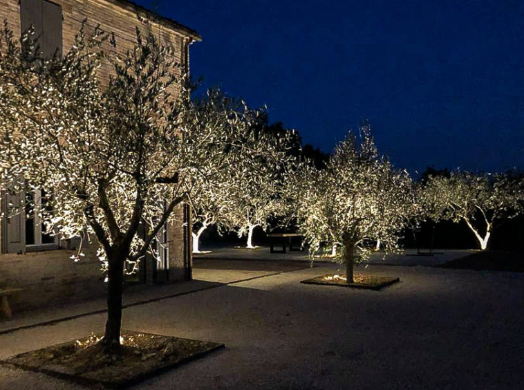 Villa Cartoceto Pesaro Marche Italy Pool Luxury