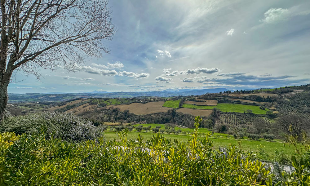Villa Cartoceto Pesaro Marche Italy Pool Luxury