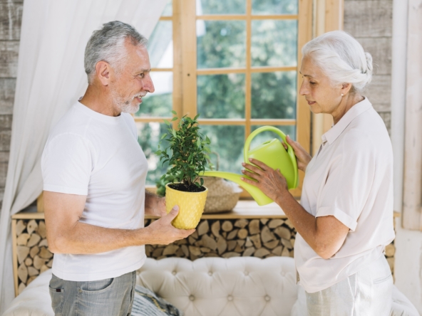 Optional regime for foreign pensioners in Italy
