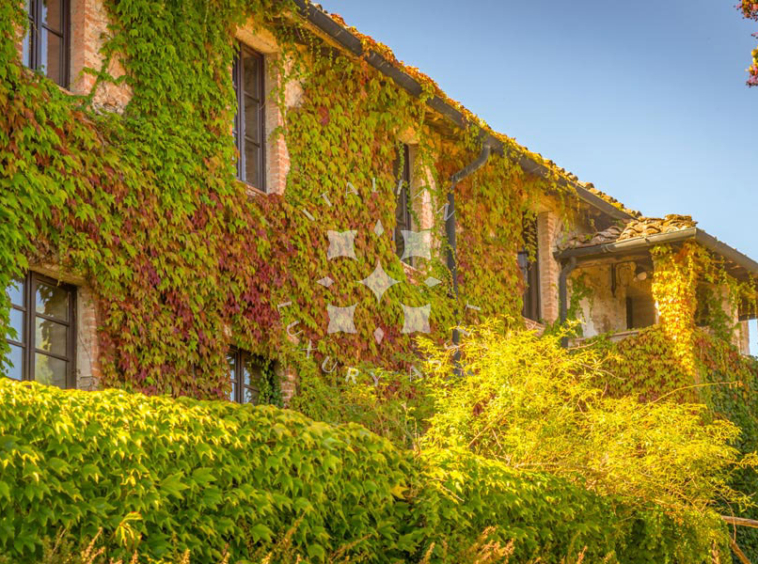 Country Estate Chiusdino Siena Tuscany Italy Pool