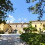 Palazzo Pergola Pesaro Marche Panorama Italy