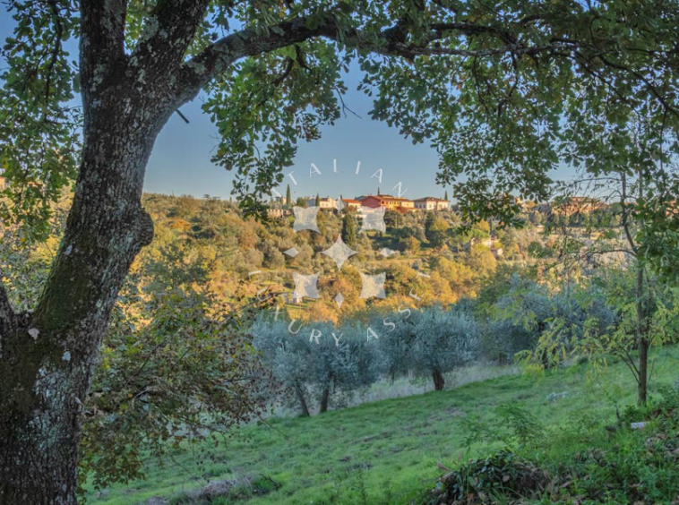 Country House Civitella Val di Chiana Arezzo Tuscany Italy Pool
